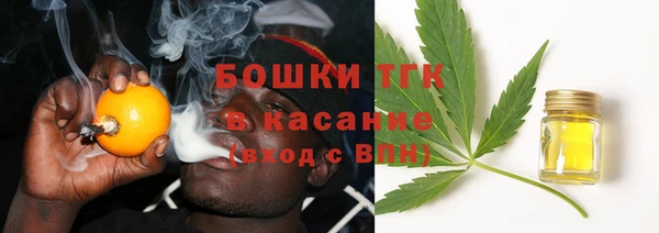 мет Алексин