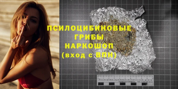 мет Алексин