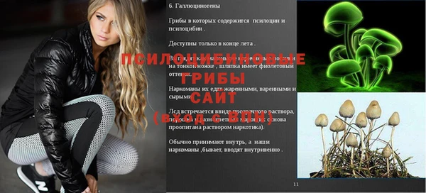 экстази Алзамай