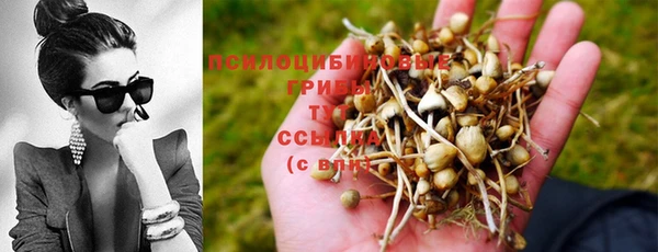 экстази Алзамай